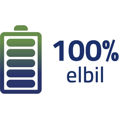 Elbil 100%